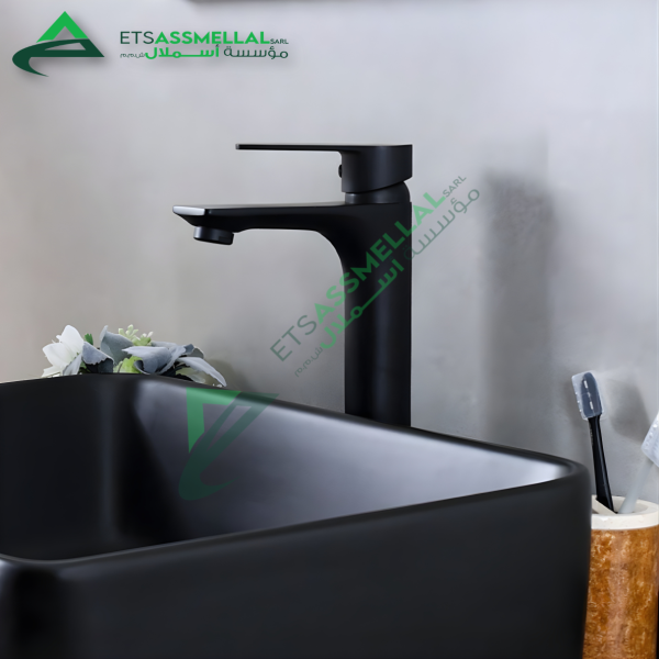 Robinet Lavabo Moderne avec Flexibles