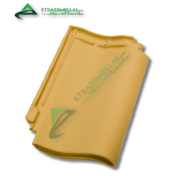 MEDITERRANEAN OCHRE ETS Assmellal مواد البناء