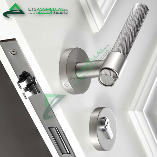 Poignée de porte en acier inoxydable